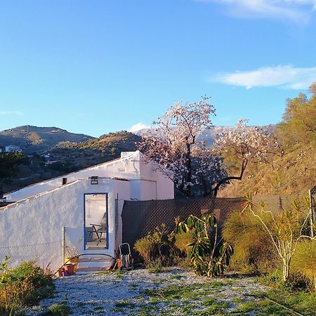 Finca El Almendro Archez Árchez Exterior foto