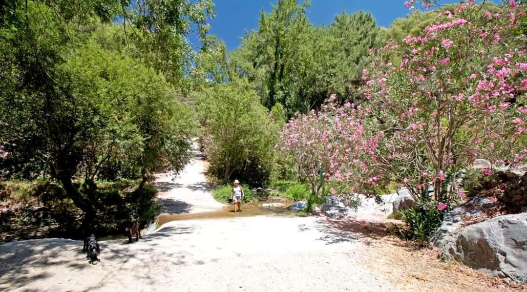 Finca El Almendro Archez Árchez Exterior foto
